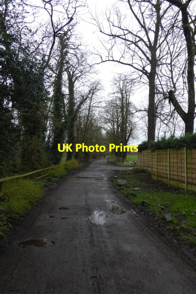 Photo 6"x4" Track to Deandale Farm Handforth c2017