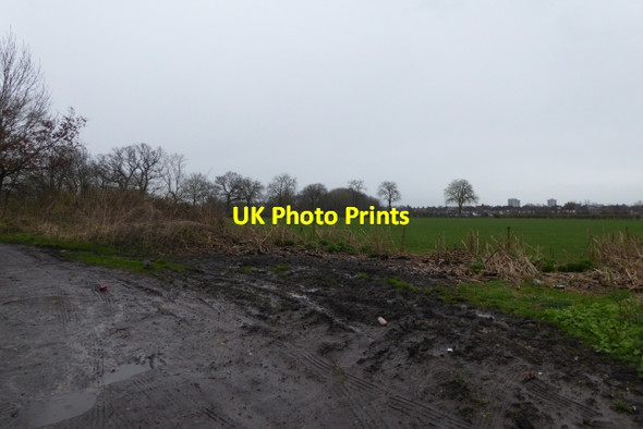 Photo 6"x4" Farmland near Spurs Lodge Handforth c2017