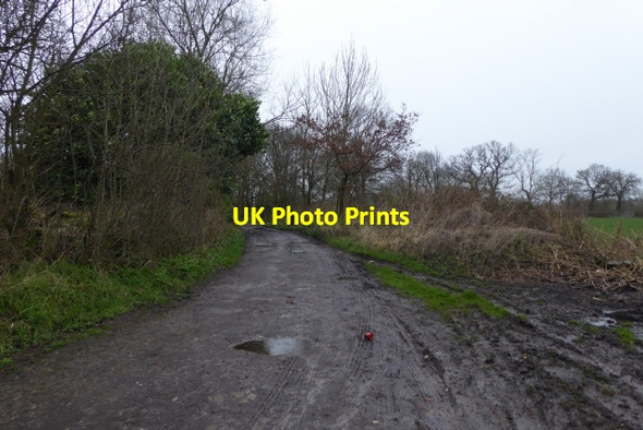 Photo 6"x4" Track leading to Clay Lane Handforth c2017