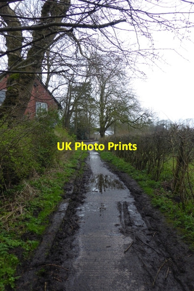 Photo 6"x4" Along Clay Lane Handforth c2017