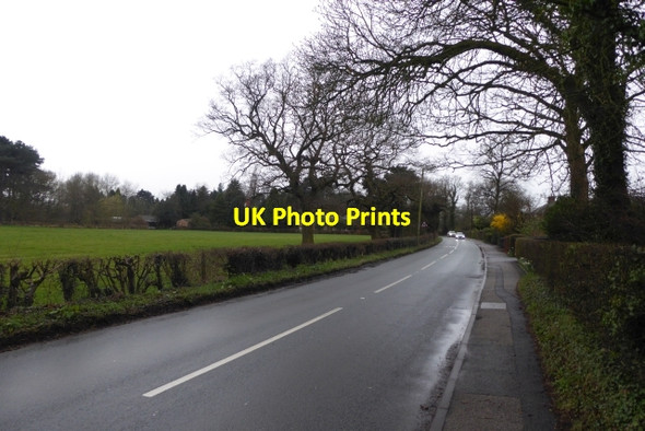 Photo 6"x4" Along Station Road Handforth c2017