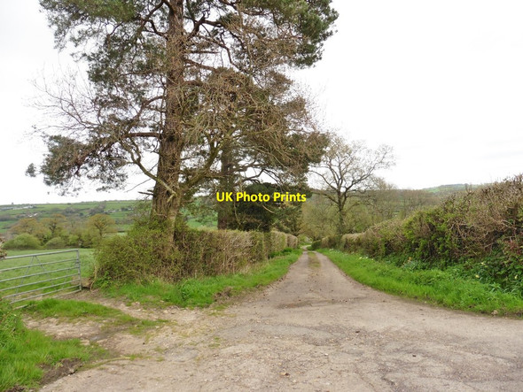 Photo 6"x4" Track to Lower Lye Stockland\/ST2404 c2017