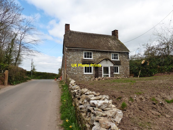 Photo 6"x4" Thatched cottage at Road End Cross Stockland\/ST2404 c2017