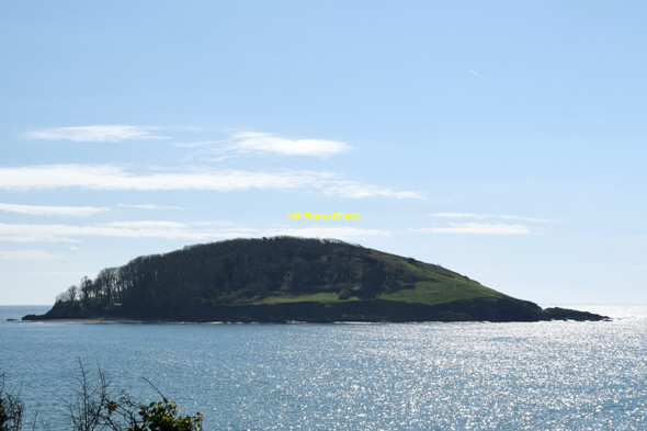 Photo 6"x4" St George's or Looe Island Looe c2017