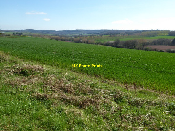 Photo 6"x4" Arable land near Trelleck Grange Parkhouse\/SO4902 c2017