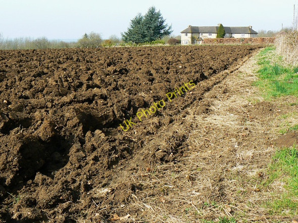 Photo 6"x4" Field west of Trow Lane, Tockenham Tockenham c2009