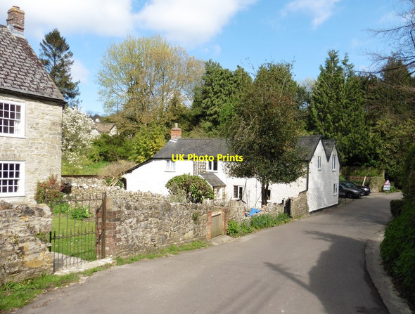 Photo 6"x4" Laurel Cottage, Smallridge All Saints c2017