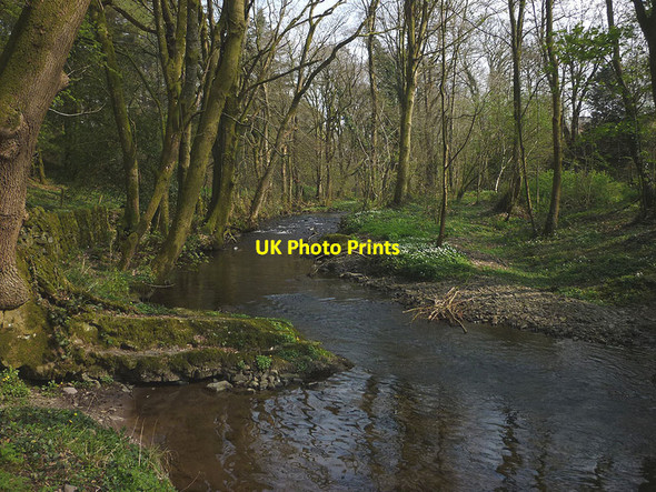 Photo 6"x4" Saint Sunday's Beck at Halfpenny Halfpenny c2017
