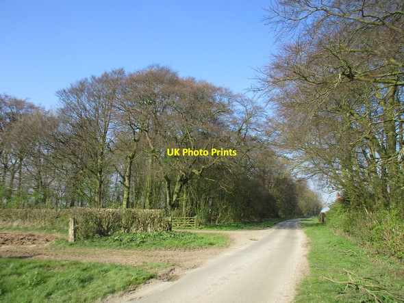 Photo 6"x4" Cross Gate Goodmanham c2017
