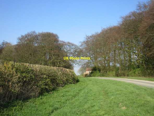 Photo 6"x4" Cross Gate Goodmanham c2017 P1
