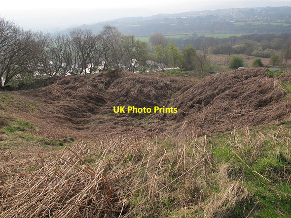 Photo 6"x4" Disused delph above Crooks Farm Baildon c2017