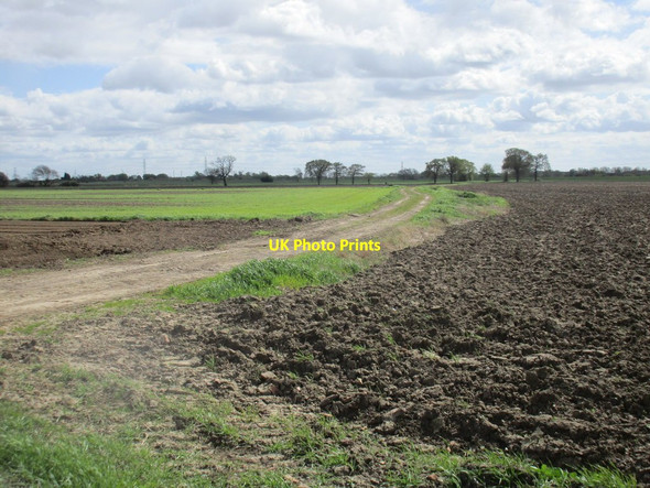 Photo 6"x4" Between Dikes Road Hemingbrough c2017
