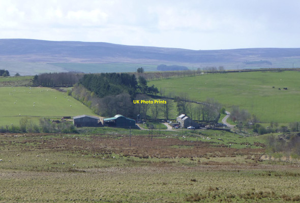 Photo 6"x4" Looking across the moor Elsdon\/NY9393 c2017