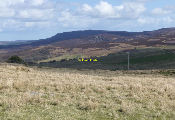 Photo 6"x4" Looking across the rough pasture  Elsdon\/NY9393 c2017
