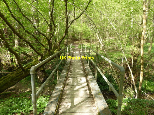Photo 6"x4" Looking north on footbridge in Birches Wood Paynes Green c2017