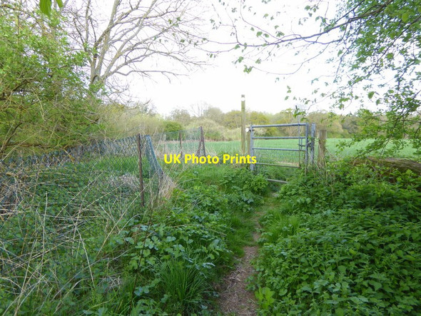 Photo 6"x4" Enclosed bridleway from Standon Lane reaches gate into field Okewood Hill c2017