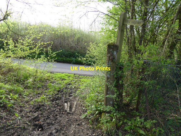 Photo 6"x4" Bridleway reaches Standon Lane from the east Okewood Hill c2017