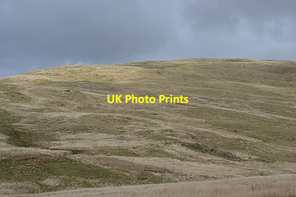 Photo 6"x4" Spring light on Y Garn Bryn-llwyd\/SN7684 c2017
