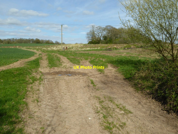 Photo 6"x4" Farmland beside Brockhill Lane Redditch c2017