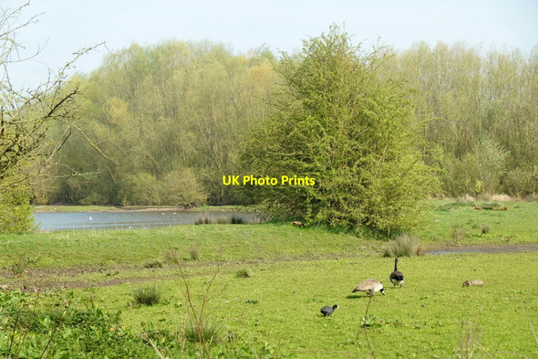 Photo 6"x4" Elton Flashes, Sandbach Ettiley Heath c2017 P1