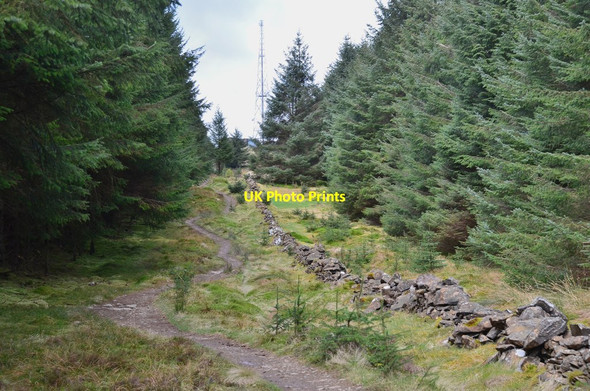 Photo 6"x4" Path to summit, Dunslair Heights Williamslee c2017