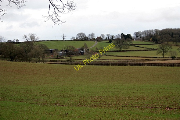 Photo 6"x4" Lower slopes of Hundred Bank Ullingswick c2009