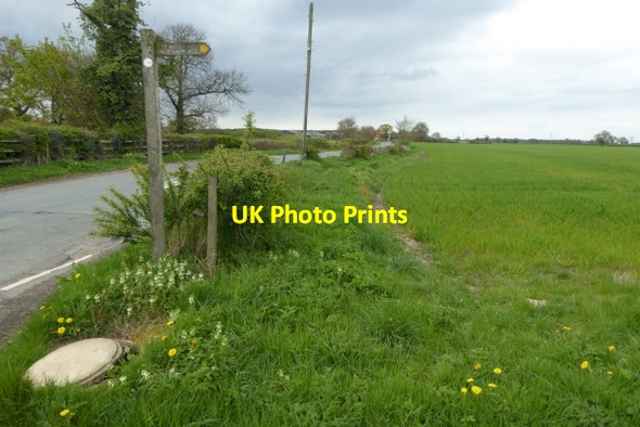 Photo 6"x4" Dauby Lane and footpath sign Elvington\/SE7047 c2017
