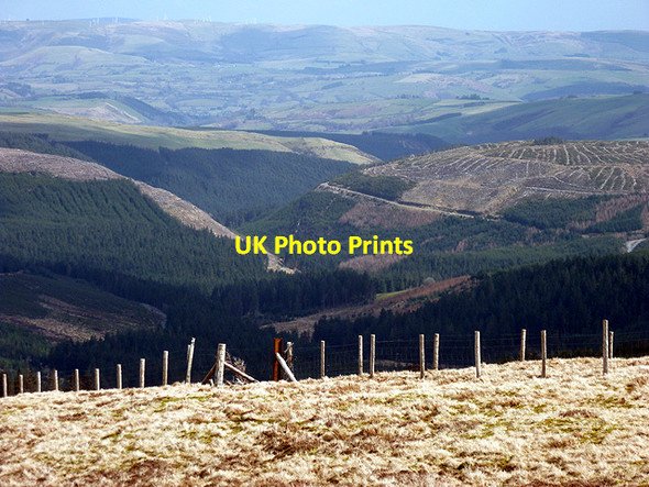 Photo 6"x4" Hafren Forest Carreg Wen c2013