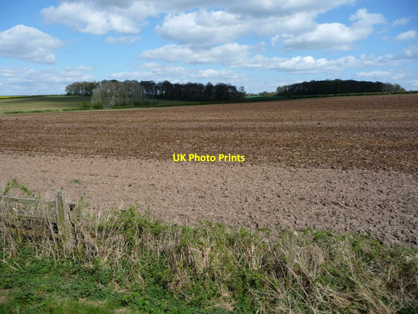 Photo 6"x4" Bare farmland, north of Barn Farm Stanford Hills c2017