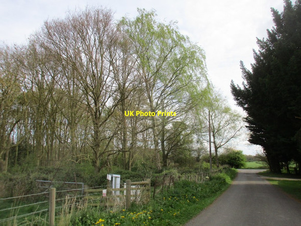 Photo 6"x4" Flawford lane Barnby in the Willows c2017