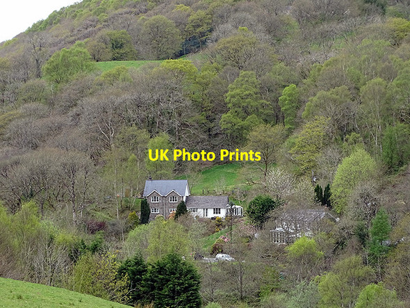 Photo 6"x4" Cottages in the valley Ystumtuen c2017