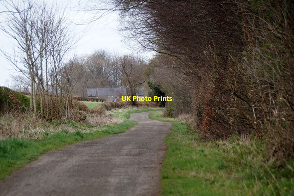 Photo 6"x4" Track from Cramond Brig on the Dalmeny Estate Cramond c2017