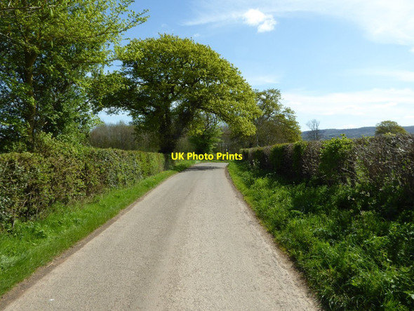 Photo 6"x4" Country road near Munsley Green Staplow c2017