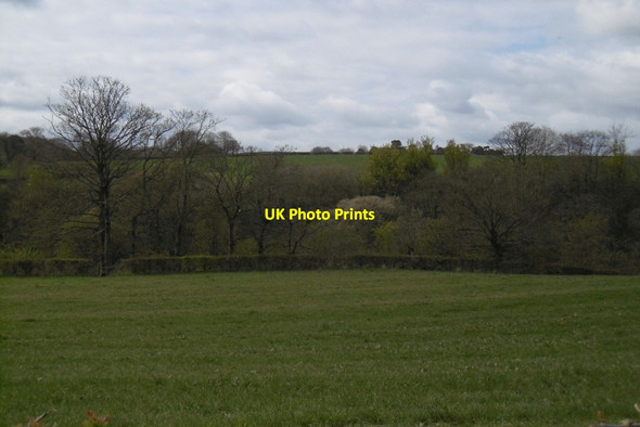 Photo 6"x4" Knowetop Glen Quarter\/NS7251 c2017