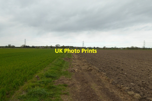 Photo 6"x4" Bridleway across the Intake Kexby\/SE7051 c2017
