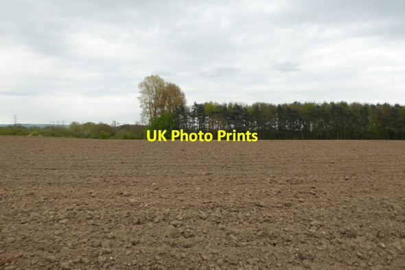 Photo 6"x4" Field and woods Kexby\/SE7051 c2017