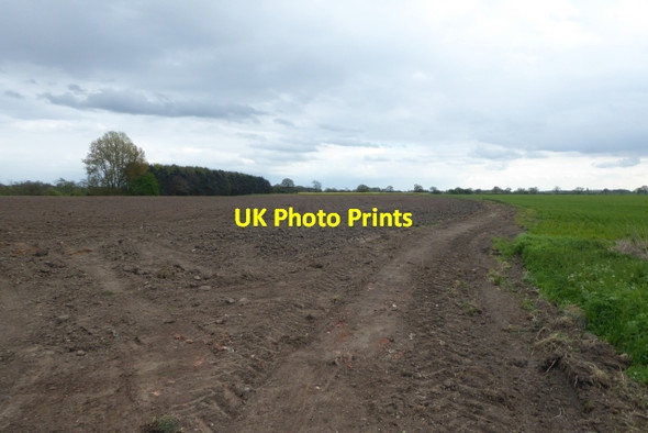 Photo 6"x4" Farmland beside the Kexby bridleway Kexby\/SE7051 c2017