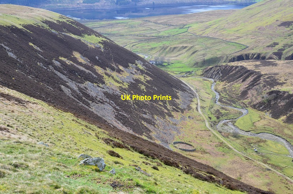 Photo 6"x4" The Kirkstead Burn from Dryhope Rig Dryhope c2017