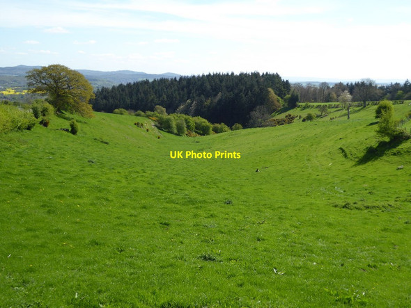 Photo 6"x4" View down to Lady's Wood Woolhope Cockshoot c2017