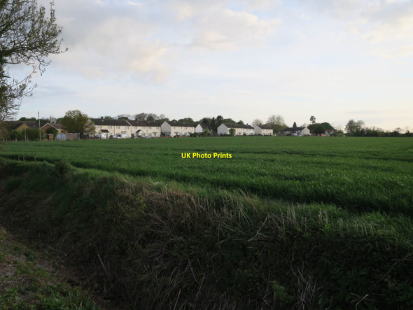 Photo 6"x4" Field by Bassingbourn Bassingbourn c2017