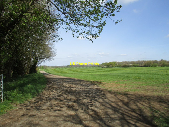Photo 6"x4" Track to Syresham Fields Farm Biddlesden c2017