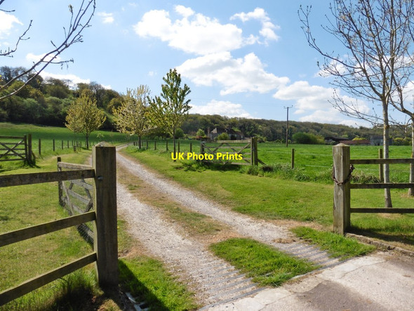 Photo 6"x4" Track to Park Farm Somerton\/ST4828 c2017
