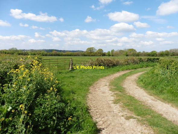 Photo 6"x4" Track to River Cary Somerton\/ST4828 c2017