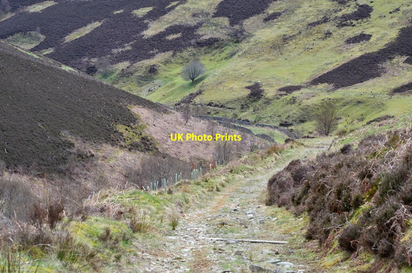 Photo 6"x4" Track by Stony Cleuch Dryhope c2017