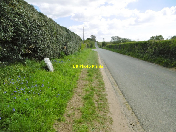 Photo 6"x4" Lytchett Matravers, Halls Road Lytchett Matravers c2017