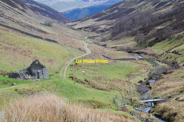 Photo 6"x4" Kirkstead Burn and Dryhopehope Dryhope c2017