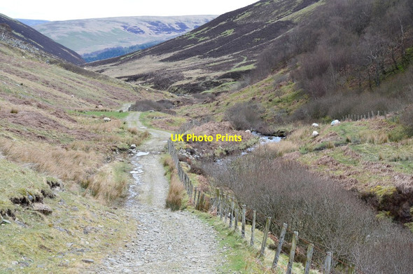 Photo 6"x4" Track by the Kirkstead Burn Cappercleuch c2017