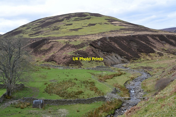 Photo 6"x4" Drycleuch Rig Dryhope c2017