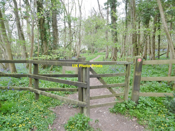 Photo 6"x4" Pribdean Wood, kissing gate Deanland c2017
