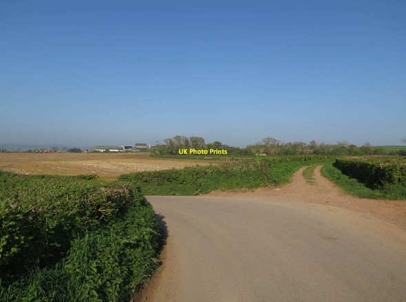 Photo 6"x4" Bridleway from Hayes Lane Dundon c2017